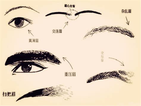 眉頭紋面相|眉毛面相｜14種眉毛面相分析！斷眉破相、長短濃淡個 